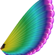 wing3