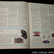 IMG-3578