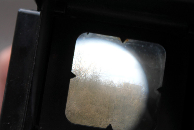 IMG-1551.jpg