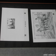 IMG-2372