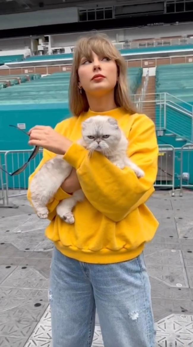 La cantante compartió un video en Instagram de ella misma en el Hard Rock Stadium en Miami Gardens, Florida, con su gata Olivia Benson.Instagram/Taylor Swift