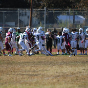 IMG-8428