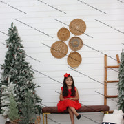 IMG-4579