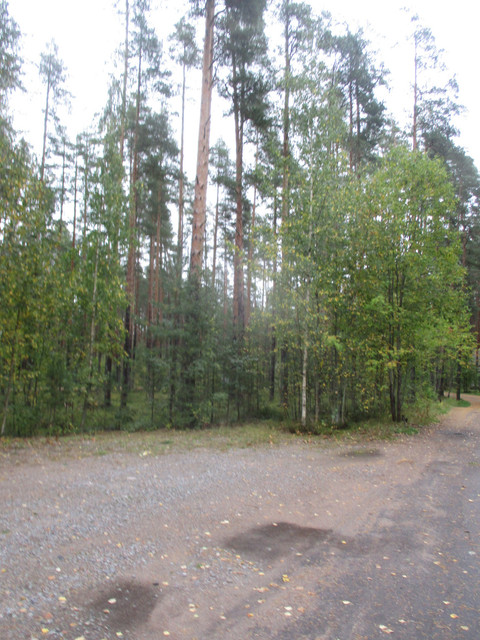 IMG-9645