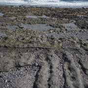 DSC01005