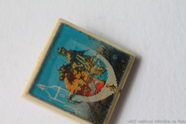 IMG-6823.jpg