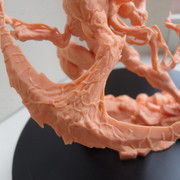 Carnage7