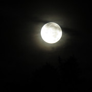 moon-032