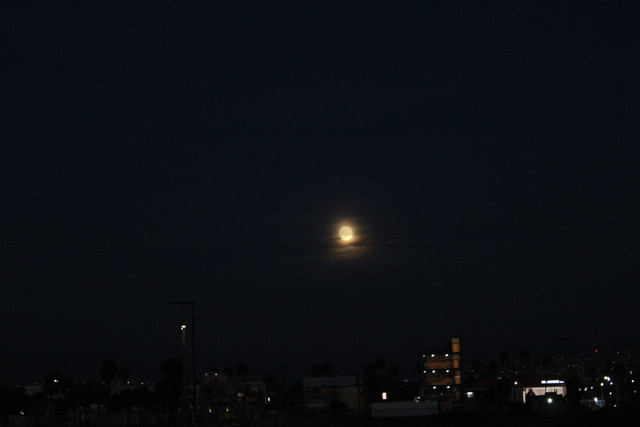 IMG-0128