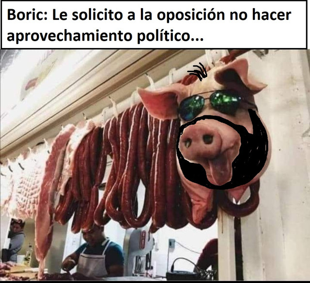 Boric.jpg