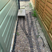IMG-6853