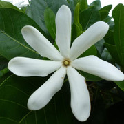 P1070680