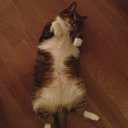 Yoko Kanamori RIMO219