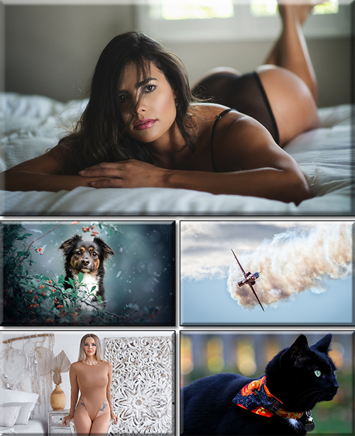 Computer Desktop Wallpapers Collection. Part 2734