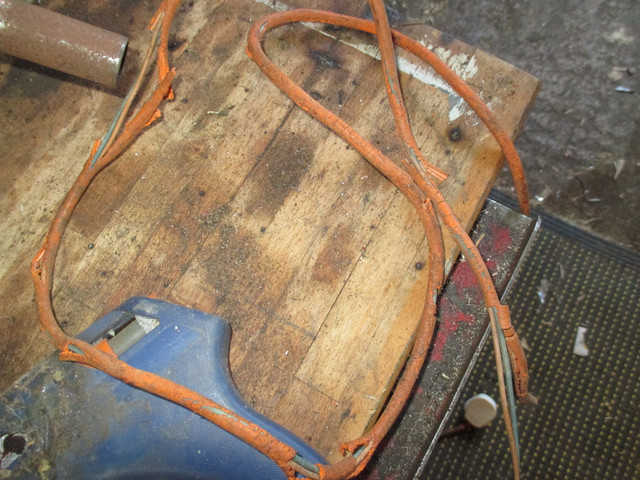 IMG-1290.jpg