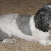 Maggie