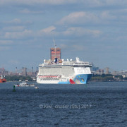 IMG-7003
