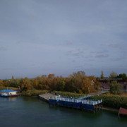 DSC-8519