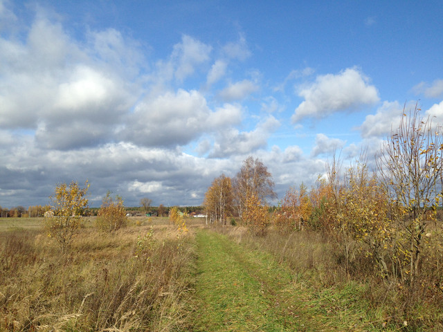 IMG-4355.jpg