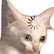 Cat-Loading-2