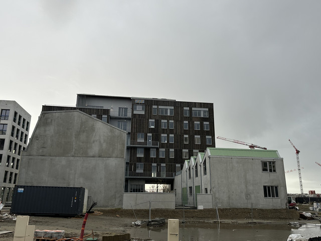 IMG-1736