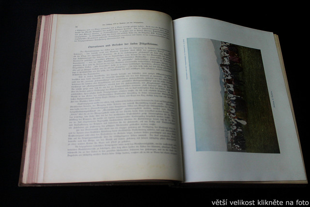 IMG-6362.jpg