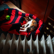 IMG-20220110-122453
