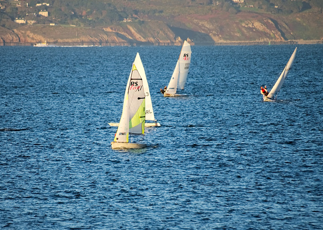 IMGP6930.jpg