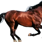 04