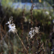 DSC7588