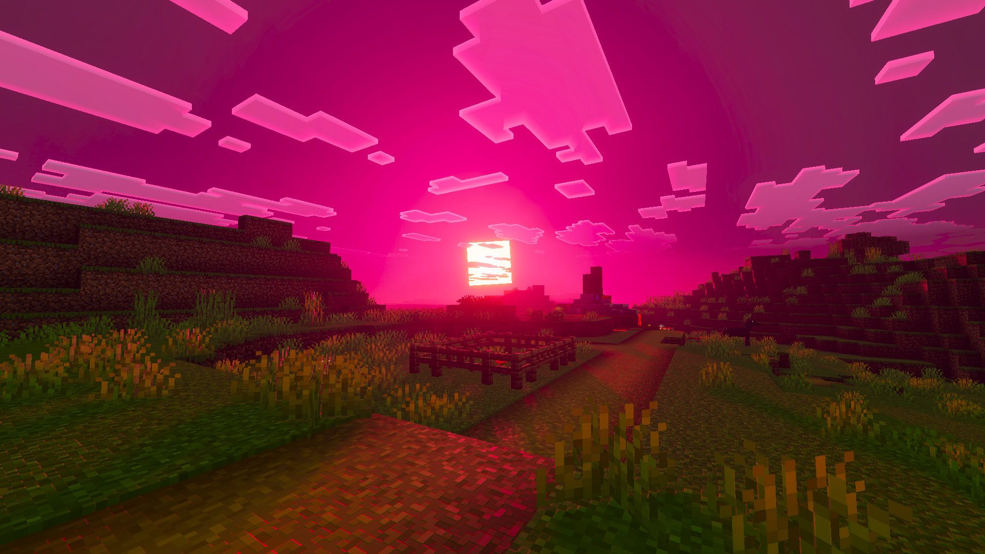 Pink Sunset Path