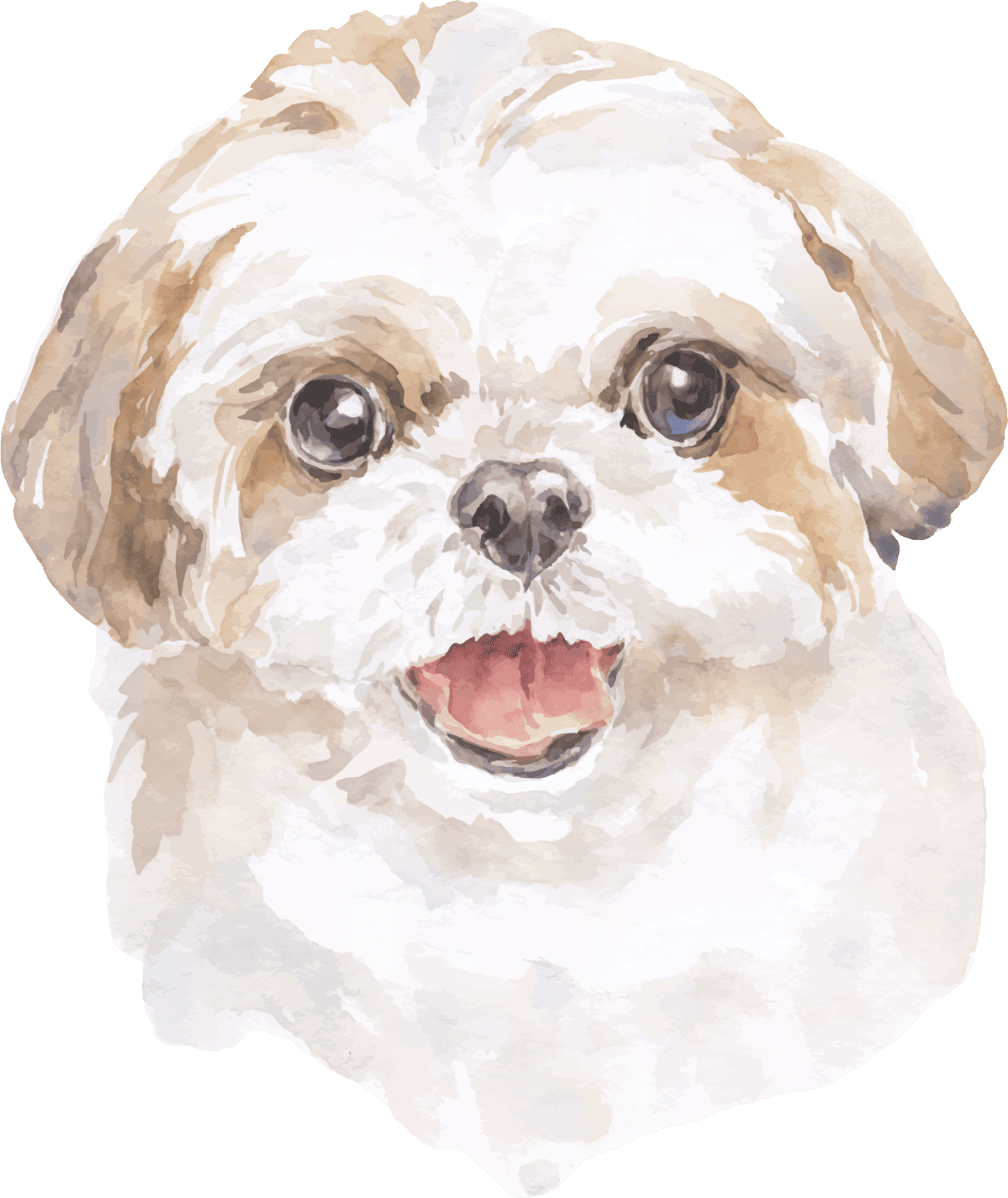 Perro
