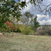 IMG 0397