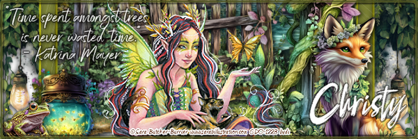 2forestbannerchristypng.png