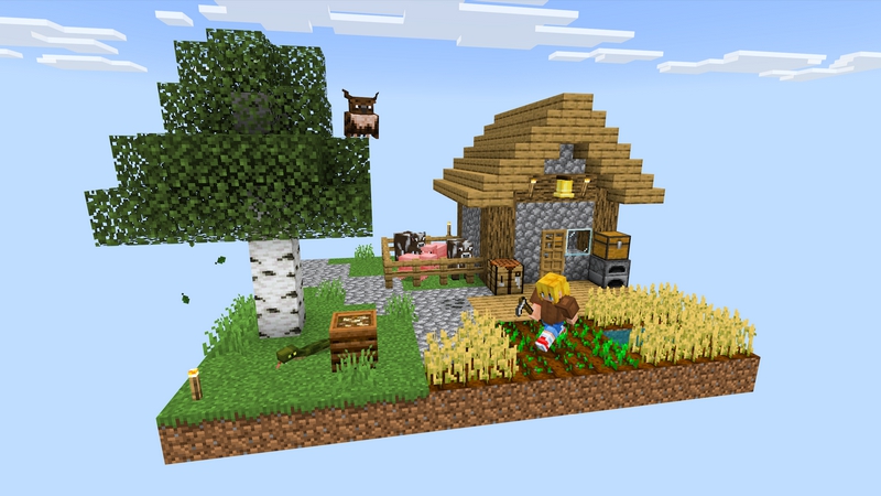 Image 5
