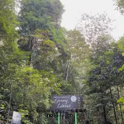 Gunung Lambak3