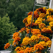IMG 20260604 192547