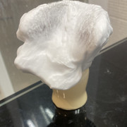 IMG 0318