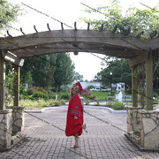 IMG 7562