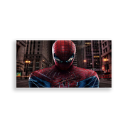 704224-Homem-Aranha-Ana