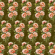 6.gif