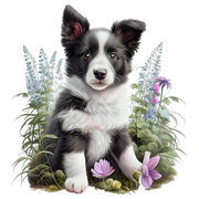 wuff9