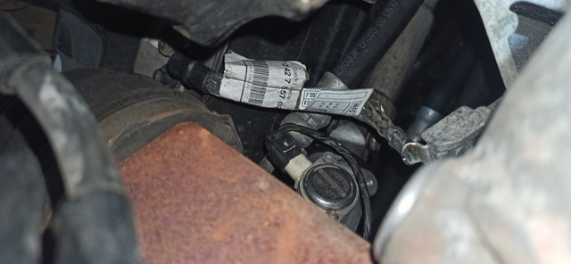 1788028263800.jpg