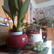IMG-20220401-085956