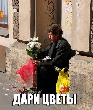 https://i.ibb.co/QjXPCTw5/tr-HYn.jpg