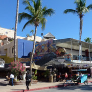 P1100155