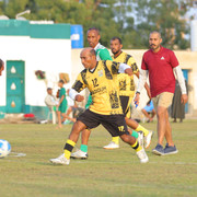 IMG 7564