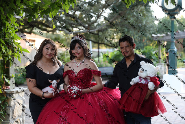 IMG 2471