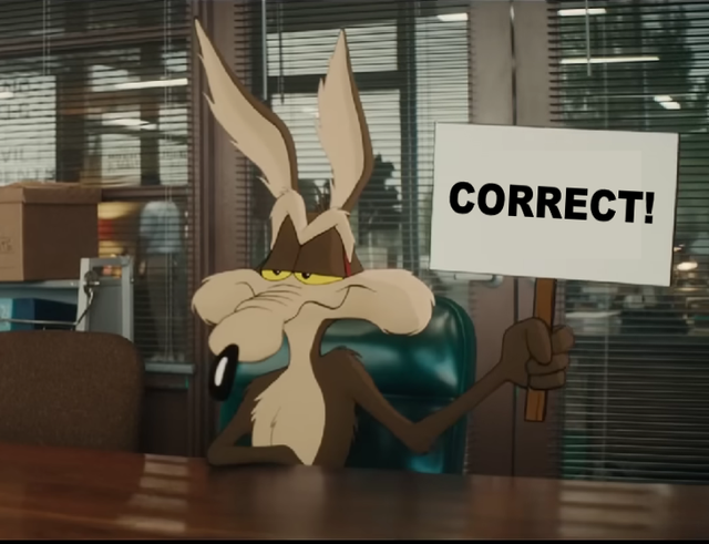 WILE E