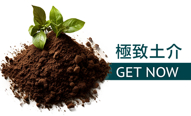 分類四